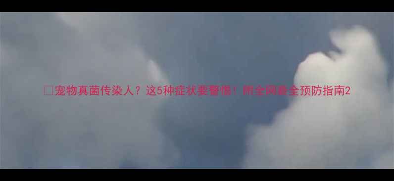 图片 🐾宠物真菌传染人？这5种症状要警惕！附全网最全预防指南2