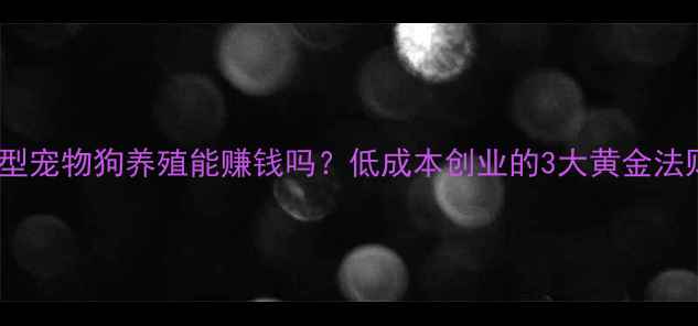 图片 🐾小型宠物狗养殖能赚钱吗？低成本创业的3大黄金法则🐶2