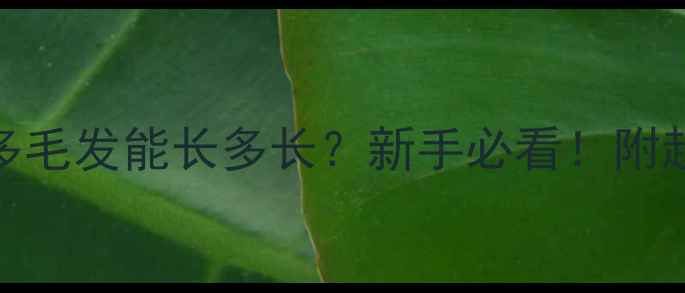 图片 🐾小拉布拉多毛发能长多长？新手必看！附超全护理指南