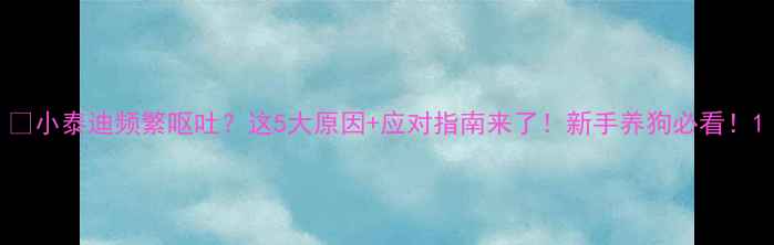 图片 🐾小泰迪频繁呕吐？这5大原因+应对指南来了！新手养狗必看！1