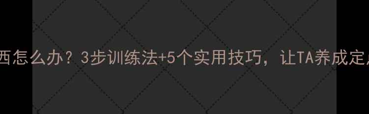 图片 🐾小狗乱拉东西怎么办？3步训练法+5个实用技巧，让TA养成定点排便习惯🐶2