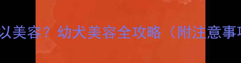 图片 🐾小狗几个月可以美容？幼犬美容全攻略（附注意事项+避坑指南）🐶