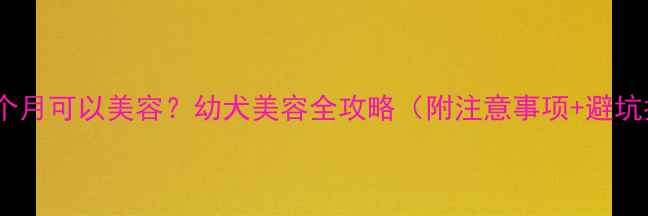 图片 🐾小狗几个月可以美容？幼犬美容全攻略（附注意事项+避坑指南）🐶2
