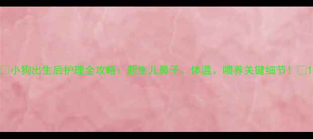 图片 🐾小狗出生后护理全攻略：新生儿鼻子、体温、喂养关键细节！🐾1