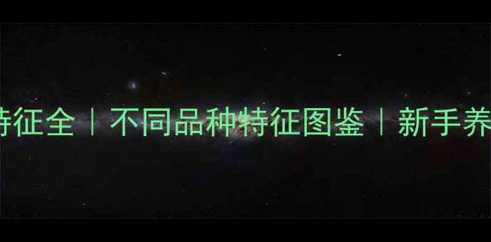 图片 🐾小狗外貌特征全｜不同品种特征图鉴｜新手养狗必看指南2