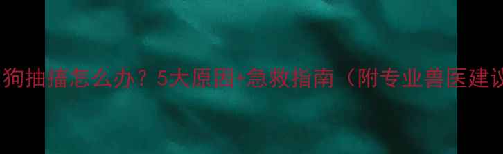 图片 🐾小狗抽搐怎么办？5大原因+急救指南（附专业兽医建议）2