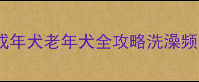 图片 🐾小狗洗澡时间表｜幼犬成年犬老年犬全攻略洗澡频率+避雷指南+正确步骤✨2