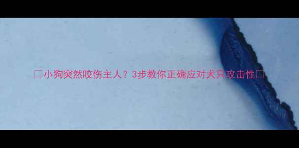 图片 🐾小狗突然咬伤主人？3步教你正确应对犬只攻击性🐾