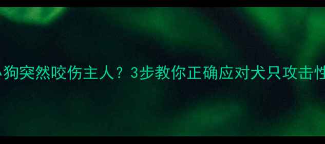 图片 🐾小狗突然咬伤主人？3步教你正确应对犬只攻击性🐾1