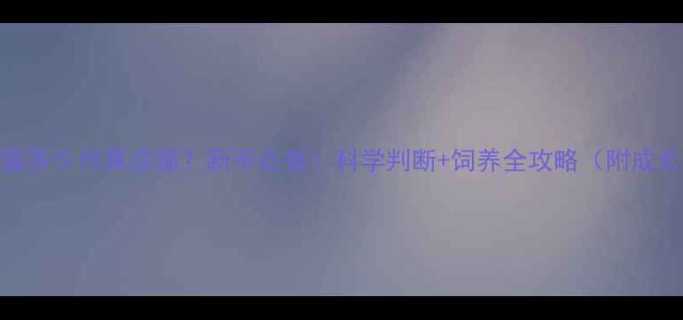 图片 🐾小猫多少月算成猫？新手必看！科学判断+饲养全攻略（附成长表）