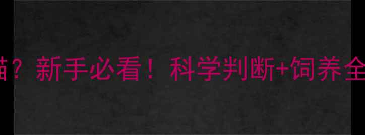 图片 🐾小猫多少月算成猫？新手必看！科学判断+饲养全攻略（附成长表）2