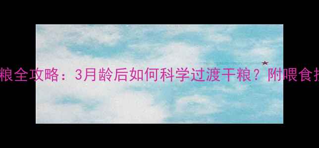 图片 🐾巴哥犬幼犬换粮全攻略：3月龄后如何科学过渡干粮？附喂食技巧与注意事项1