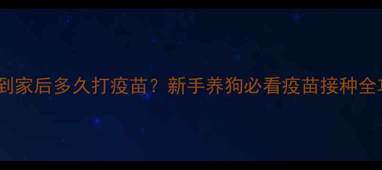 图片 🐾幼犬到家后多久打疫苗？新手养狗必看疫苗接种全攻略✨1