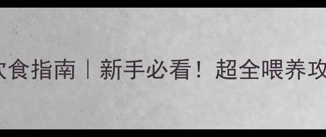 图片 🐾幼犬外出后饮食指南｜新手必看！超全喂养攻略（附食谱）1