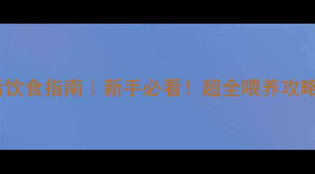 图片 🐾幼犬外出后饮食指南｜新手必看！超全喂养攻略（附食谱）2