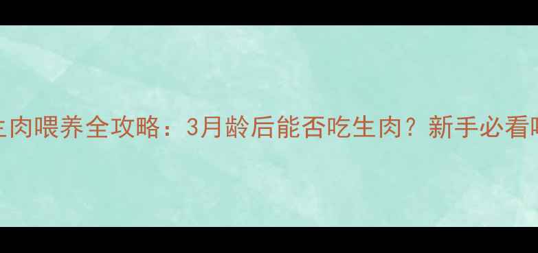 图片 🐾幼犬生肉喂养全攻略：3月龄后能否吃生肉？新手必看喂食指南
