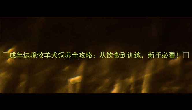 图片 🐾成年边境牧羊犬饲养全攻略：从饮食到训练，新手必看！🐾