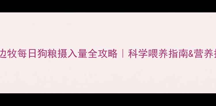 图片 🐾成年边牧每日狗粮摄入量全攻略｜科学喂养指南&营养搭配表1