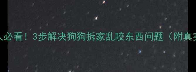 图片 🐾打工人必看！3步解决狗狗拆家乱咬东西问题（附真实案例）