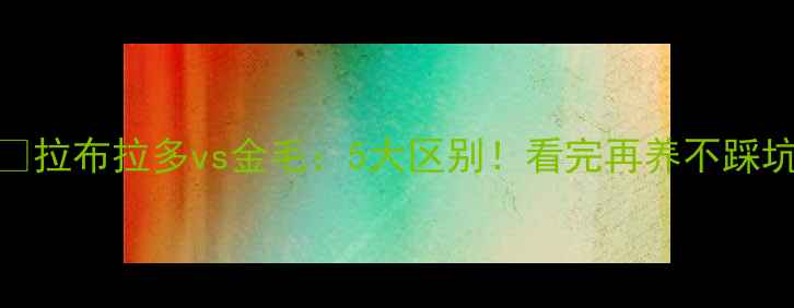 图片 🐾拉布拉多vs金毛：5大区别！看完再养不踩坑