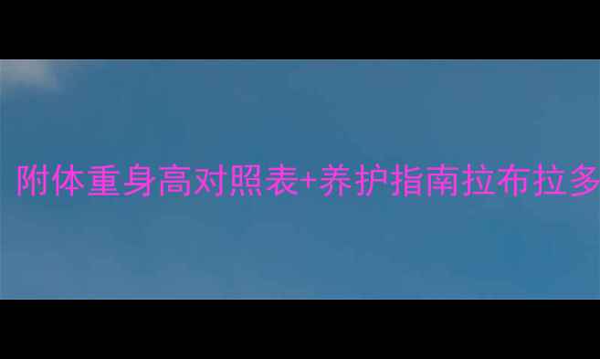 图片 🐾拉布拉多体型标准全｜附体重身高对照表+养护指南拉布拉多养护宠物科普狗狗知识1