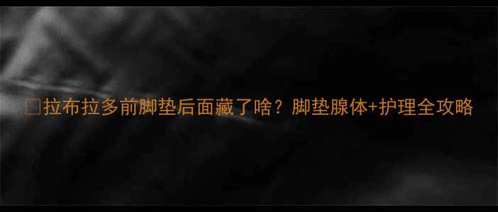 图片 🐾拉布拉多前脚垫后面藏了啥？脚垫腺体+护理全攻略