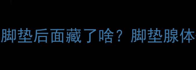 图片 🐾拉布拉多前脚垫后面藏了啥？脚垫腺体+护理全攻略2