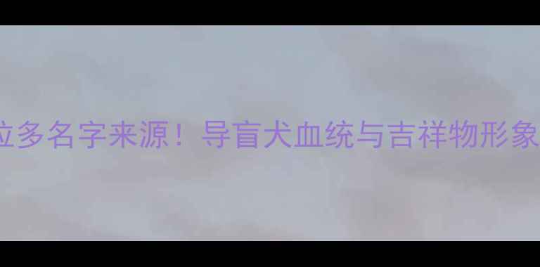 图片 🐾拉布拉多名字来源！导盲犬血统与吉祥物形象大起底1