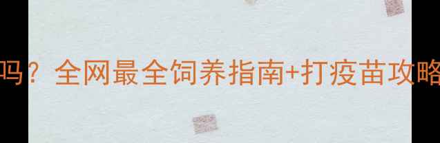 图片 🐾拉布拉多咬人吗？全网最全饲养指南+打疫苗攻略，新手必看！🐾