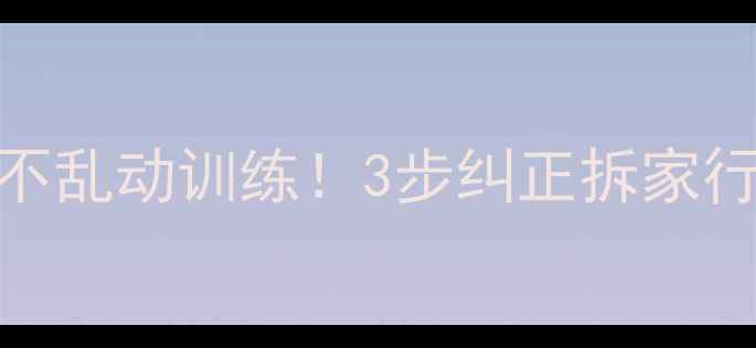 图片 🐾拉布拉多喂食前必学不乱动训练！3步纠正拆家行为，新手养宠避坑指南