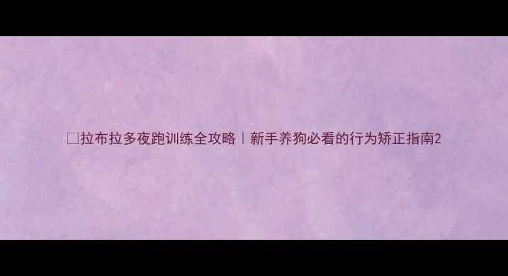 图片 🐾拉布拉多夜跑训练全攻略｜新手养狗必看的行为矫正指南2