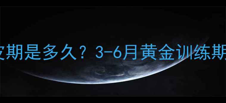 图片 🐾拉布拉多幼犬性格最皮期是多久？3-6月黄金训练期全攻略｜附防拆家技巧2