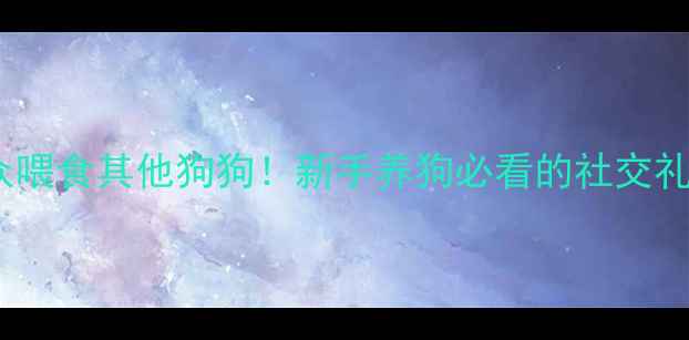 图片 🐾拉布拉多当众喂食其他狗狗！新手养狗必看的社交礼仪与训练指南2