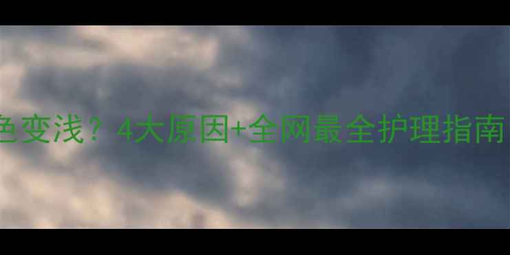 图片 🐾拉布拉多掉毛颜色变浅？4大原因+全网最全护理指南！毛孩家长必看！1