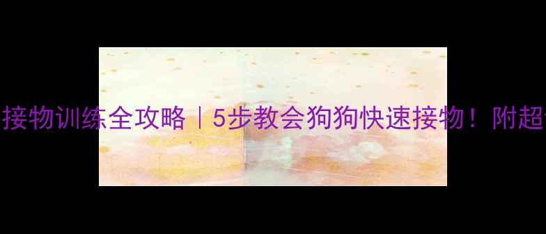 图片 🐾拉布拉多接物训练全攻略｜5步教会狗狗快速接物！附超详细教程🐾