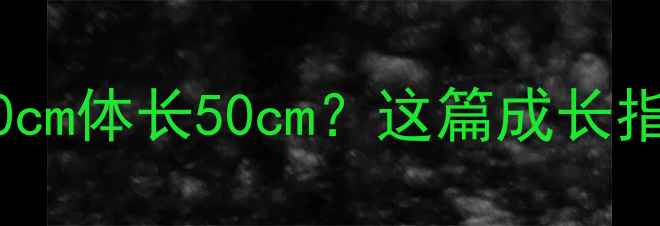 图片 🐾拉布拉多标准尺寸是肩高50cm体长50cm？这篇成长指南和饲养攻略必须收藏！💡2