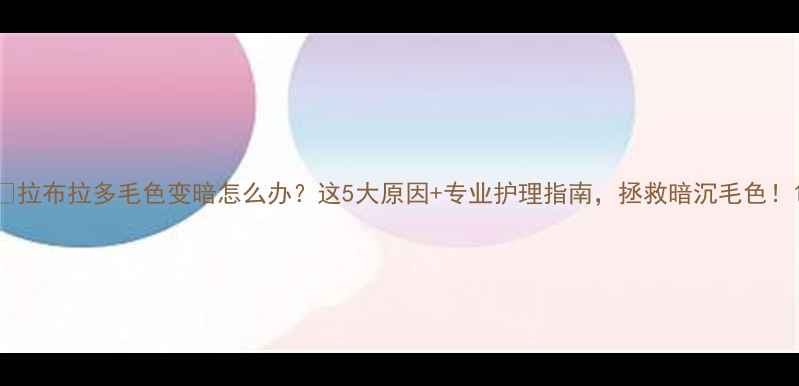 图片 🐾拉布拉多毛色变暗怎么办？这5大原因+专业护理指南，拯救暗沉毛色！1