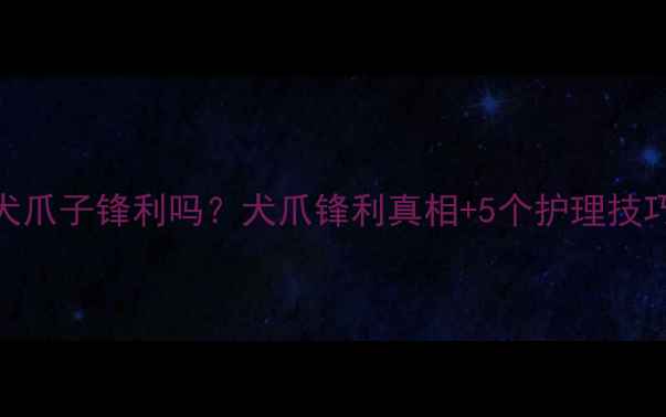 图片 🐾拉布拉多犬爪子锋利吗？犬爪锋利真相+5个护理技巧（附图）🐾