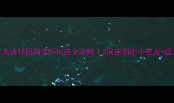 图片 🐾拉布拉多犬被邻居狗惊吓训练全攻略｜3周告别胆小焦虑+建立社交自信