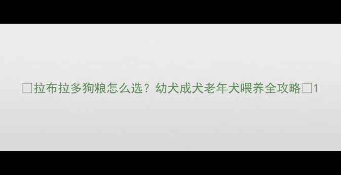 图片 🐾拉布拉多狗粮怎么选？幼犬成犬老年犬喂养全攻略🐕1