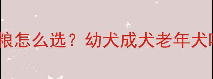 图片 🐾拉布拉多狗粮怎么选？幼犬成犬老年犬喂养全攻略🐕2