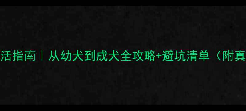 图片 🐾拉布拉多生活指南｜从幼犬到成犬全攻略+避坑清单（附真实饲养经验）