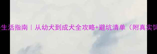 图片 🐾拉布拉多生活指南｜从幼犬到成犬全攻略+避坑清单（附真实饲养经验）2