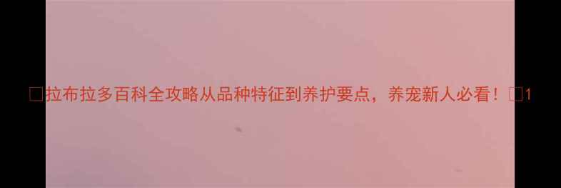 图片 🐾拉布拉多百科全攻略从品种特征到养护要点，养宠新人必看！🐶1