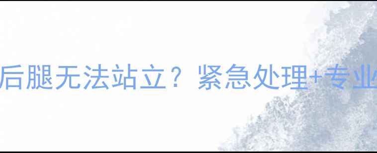 图片 🐾拉布拉多突然后腿无法站立？紧急处理+专业兽医指南来了！
