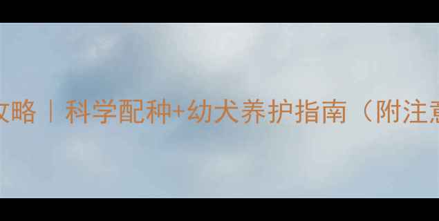 图片 🐾拉布拉多繁殖全攻略｜科学配种+幼犬养护指南（附注意事项）新手必看！