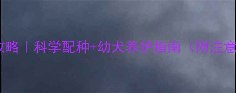 图片 🐾拉布拉多繁殖全攻略｜科学配种+幼犬养护指南（附注意事项）新手必看！1