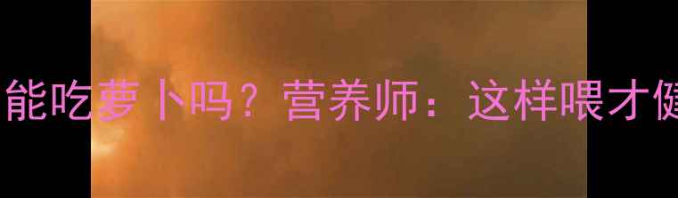 图片 🐾拉布拉多能吃萝卜吗？营养师：这样喂才健康！🥕✅1