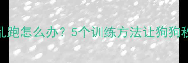 图片 🐾拉布拉多解开绳子乱跑怎么办？5个训练方法让狗狗秒变乖宝宝｜家长必看