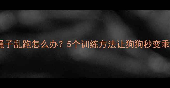 图片 🐾拉布拉多解开绳子乱跑怎么办？5个训练方法让狗狗秒变乖宝宝｜家长必看1